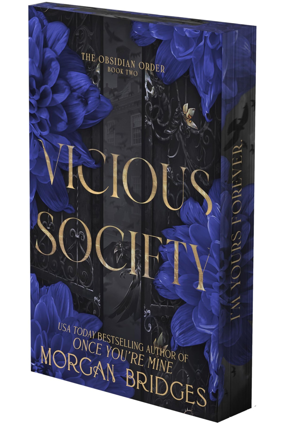 Vicious Society: A Dark Romance (Deluxe Limited Edition) (The Obsidian Order, 2)